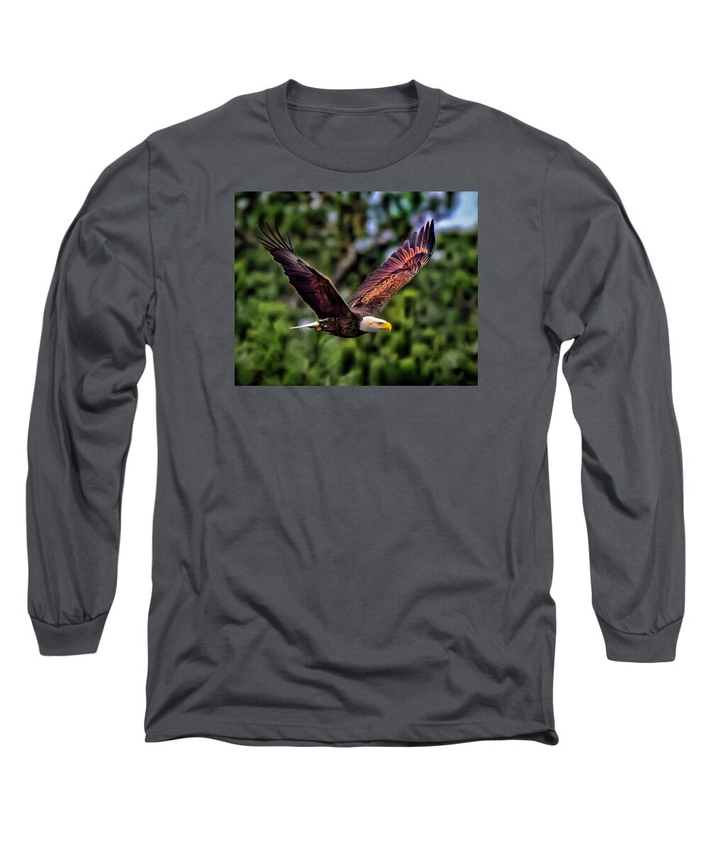Bald Eagle Long Sleeve T-Shirt featuring the photograph Bald Eagle #2 by Joe Granita