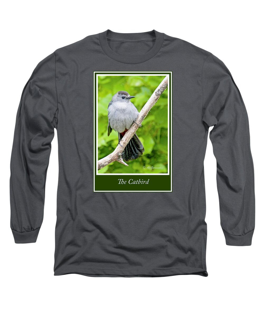 Catbird Long Sleeve T-Shirt featuring the photograph Catbird, Animal Portrait #2 by A Macarthur Gurmankin