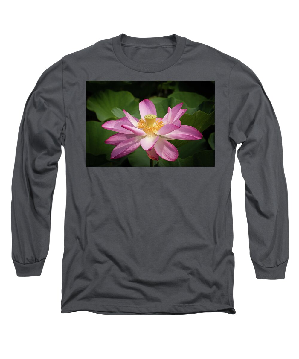 Flower Long Sleeve T-Shirt featuring the photograph Lotus #2 by Richard Macquade