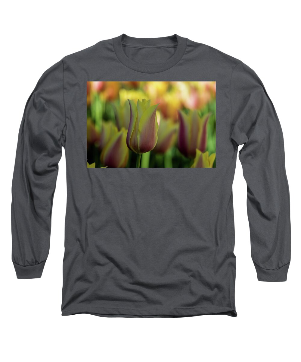 Jay Stockhaus Long Sleeve T-Shirt featuring the photograph Pink and Yellow #2 by Jay Stockhaus