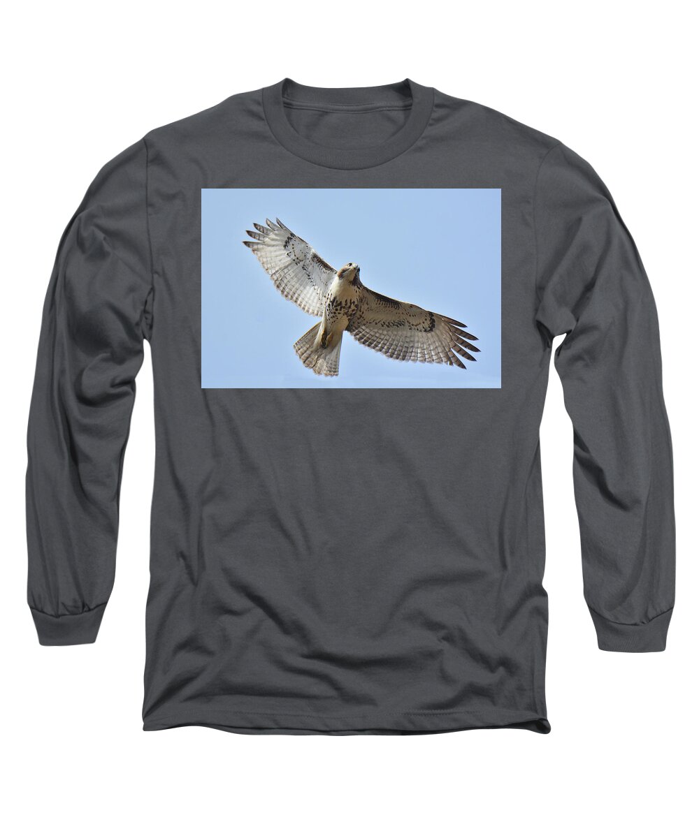 Bird Long Sleeve T-Shirt featuring the photograph Red-tailed Hawk #2 by Alan Lenk