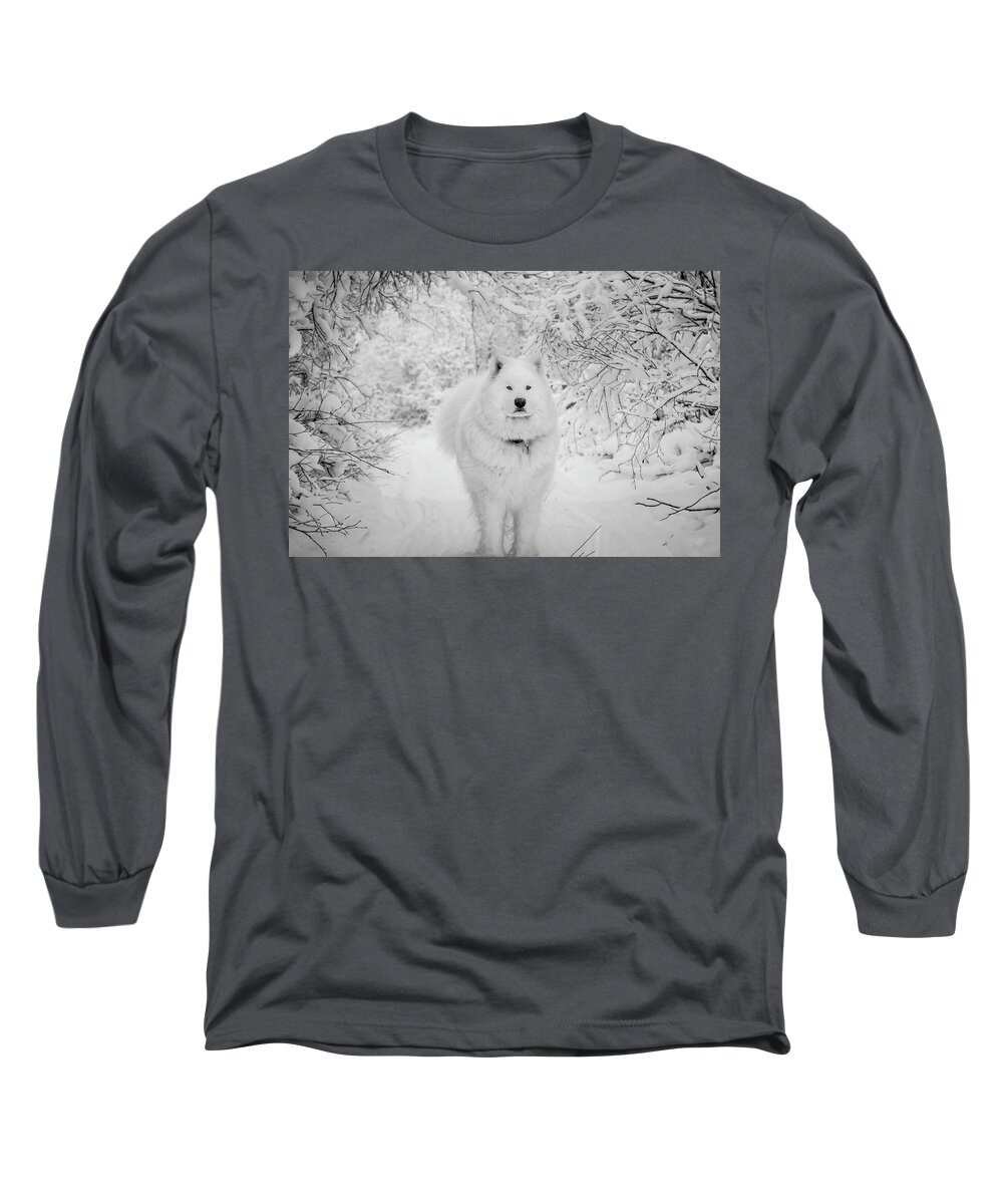 Samoyed Long Sleeve T-Shirt featuring the photograph Winter Wonderland #2 by Valerie Pond