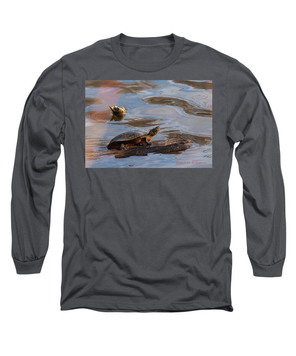 Heron Heaven Long Sleeve T-Shirt featuring the photograph 2017 Painted Turtle by Ed Peterson