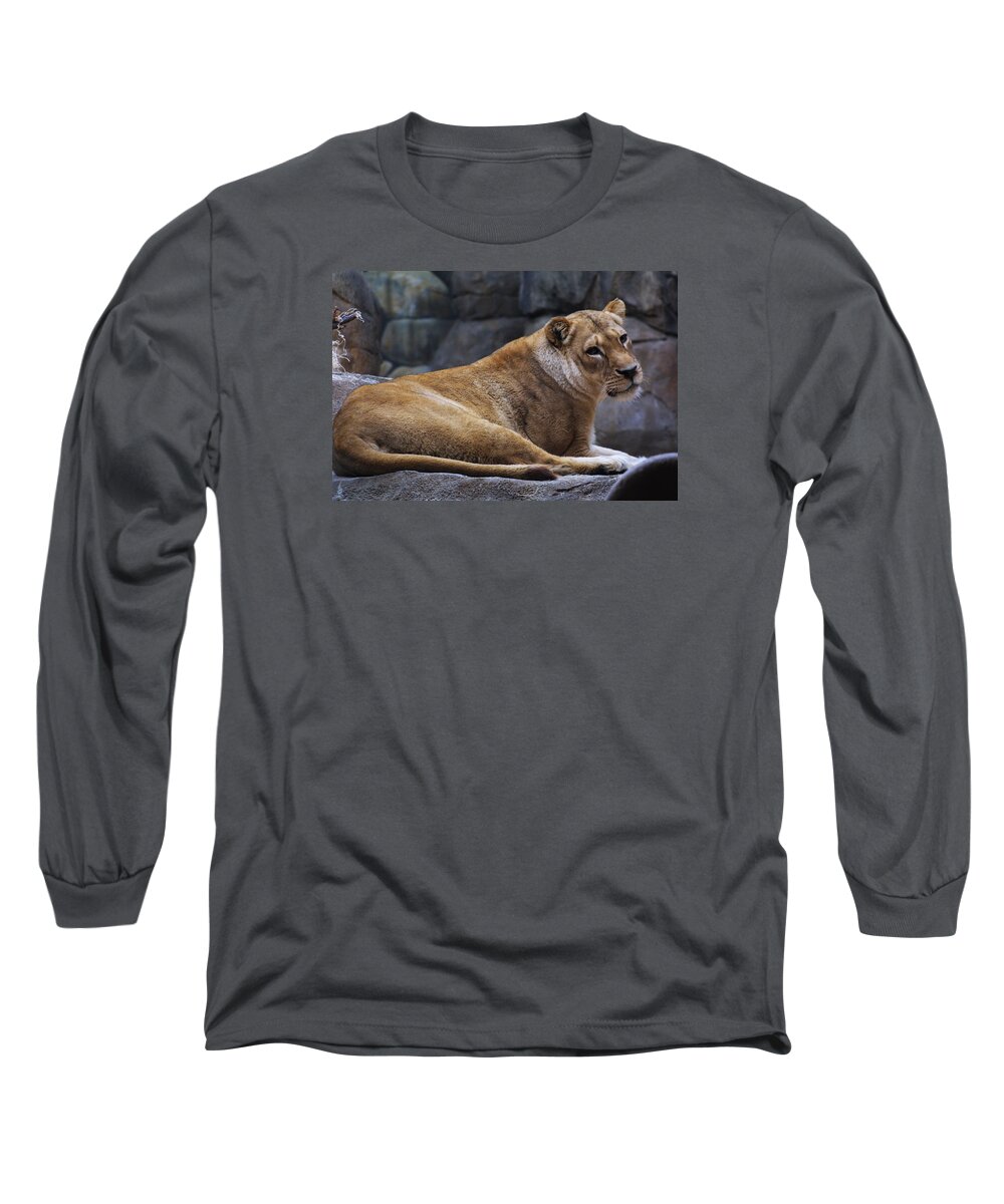 Zoo Long Sleeve T-Shirt featuring the photograph Zoo Scapes #26 by Jean Wolfrum