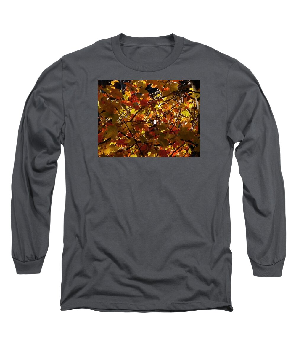 Leaves Long Sleeve T-Shirt featuring the photograph Autumn Leaves #3 by Wolfgang Schweizer