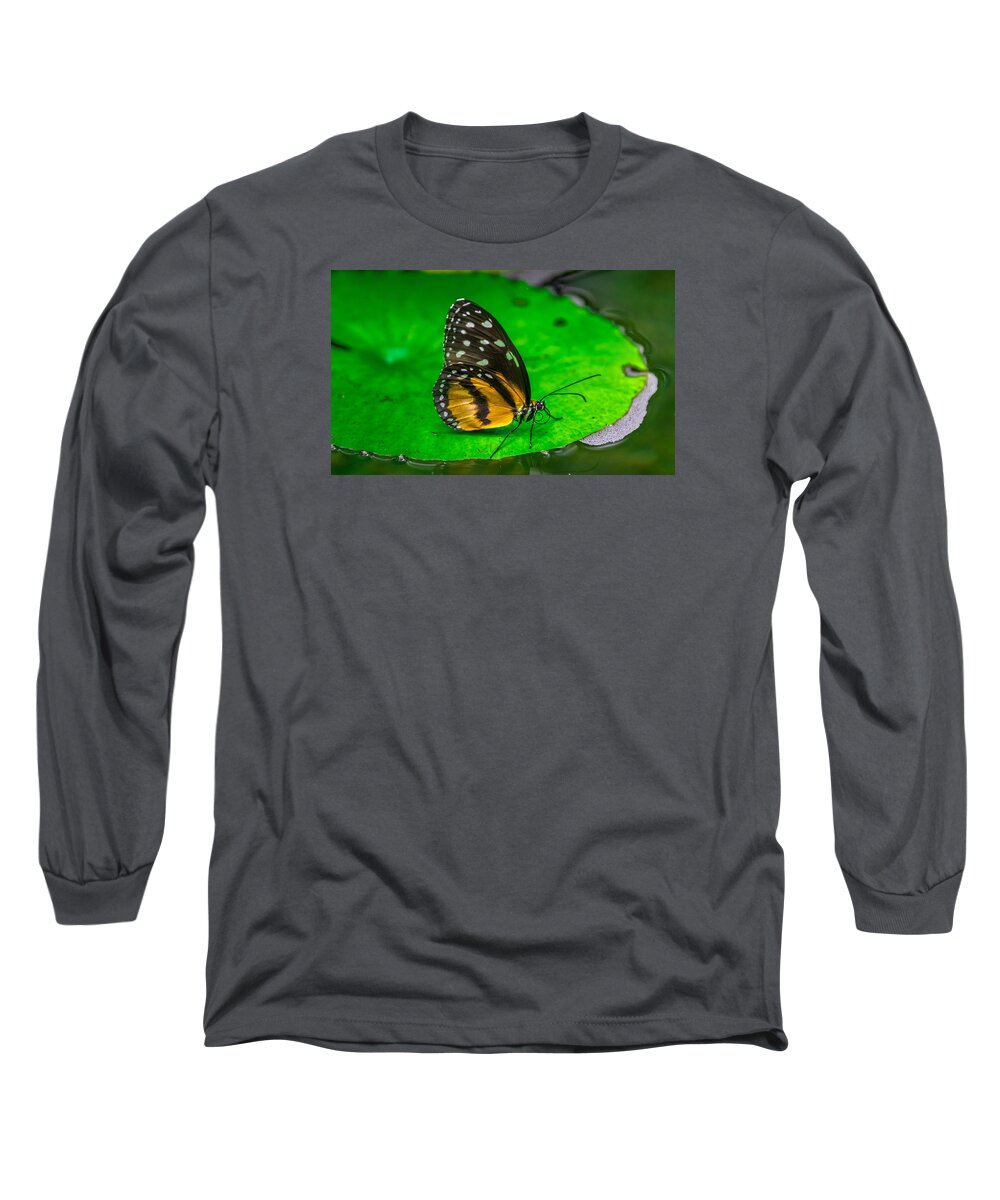 Butterfly Long Sleeve T-Shirt featuring the photograph Butterfly #3 by Jerry Cahill