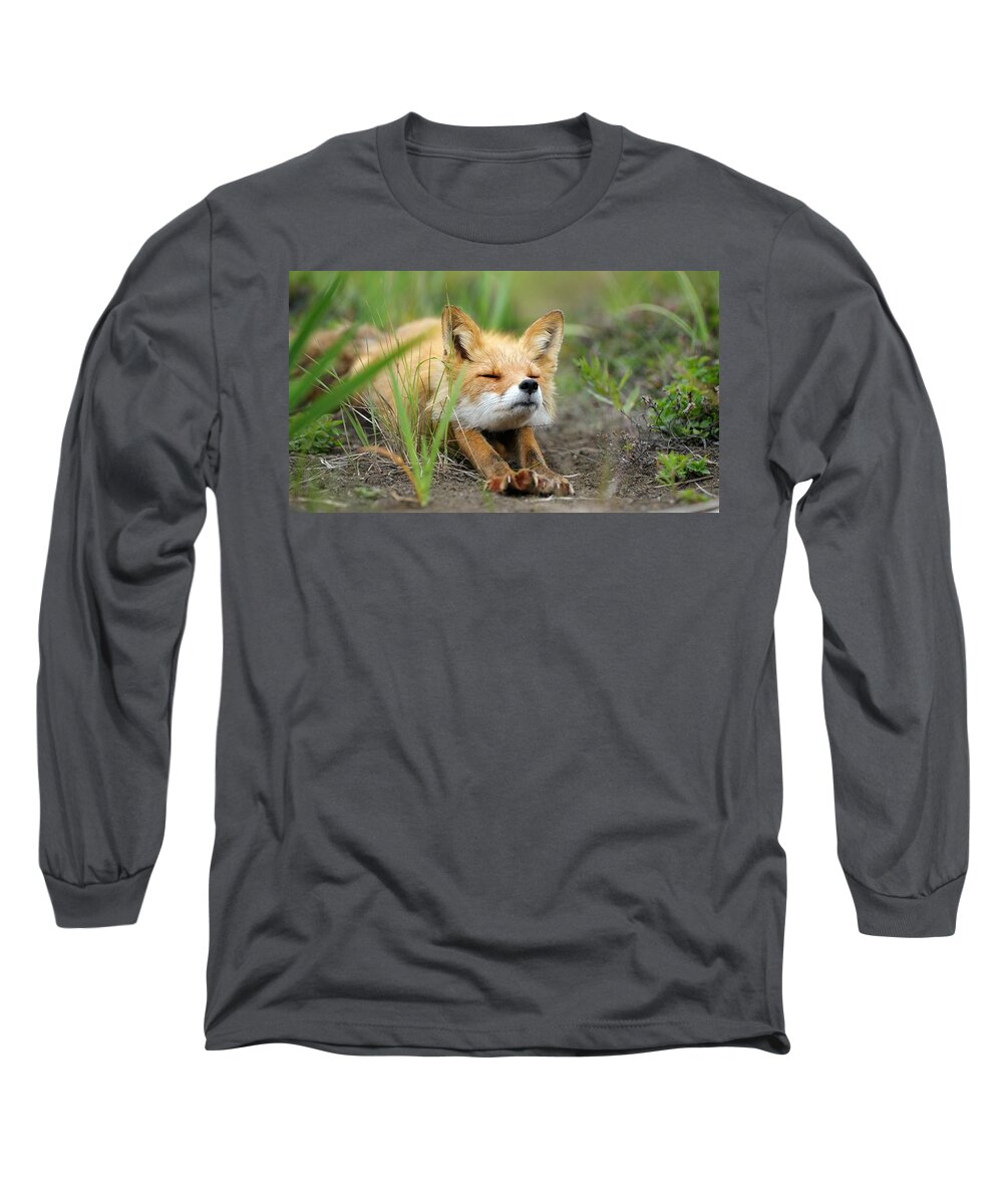 Fox Long Sleeve T-Shirt featuring the photograph Fox #3 by Jackie Russo