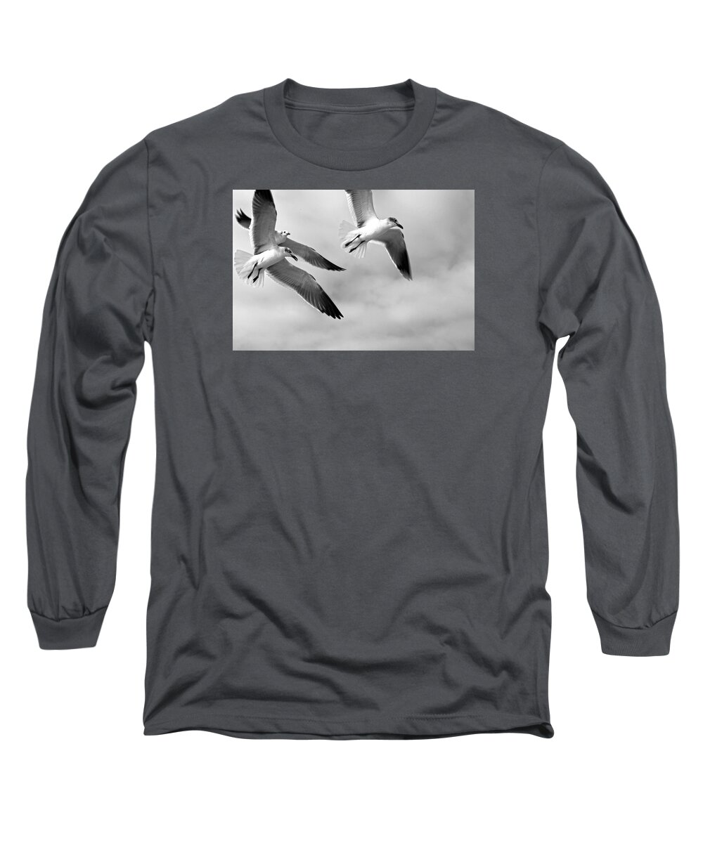 Bird Long Sleeve T-Shirt featuring the photograph 3 Gulls by Robert Och