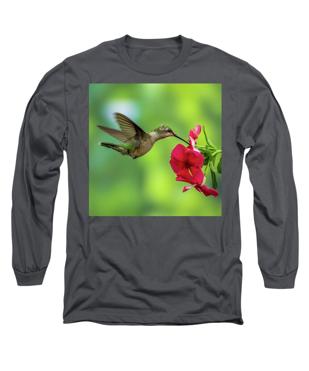 Hummingbird Long Sleeve T-Shirt featuring the photograph Hummingbird #3 by Allin Sorenson