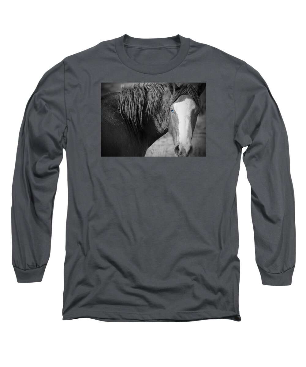 Horses Long Sleeve T-Shirt featuring the photograph Wild Mustang Horse #1 by Waterdancer 