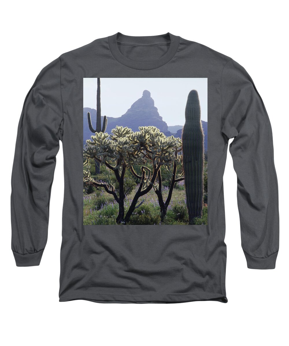 313737 Long Sleeve T-Shirt featuring the photograph 313737 Montezumas Head by Ed Cooper Photography