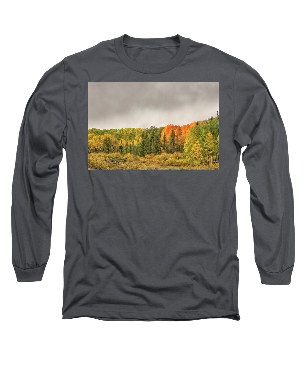 Aspen Trees Long Sleeve T-Shirt featuring the photograph Colorado Fall Foliage 1 by Victor Culpepper