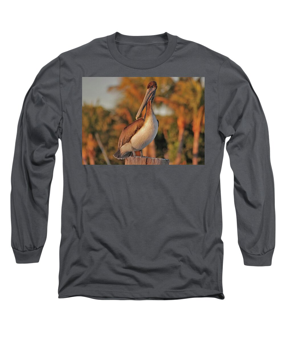  Pelican Long Sleeve T-Shirt featuring the photograph 9- Brown Pelican by Joseph Keane
