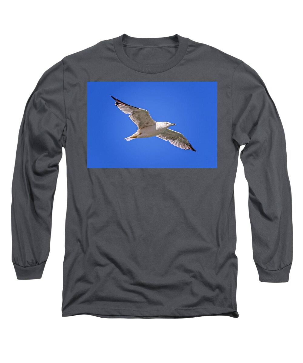 Animal Long Sleeve T-Shirt featuring the photograph Gull in flight #9 by Peter Lakomy