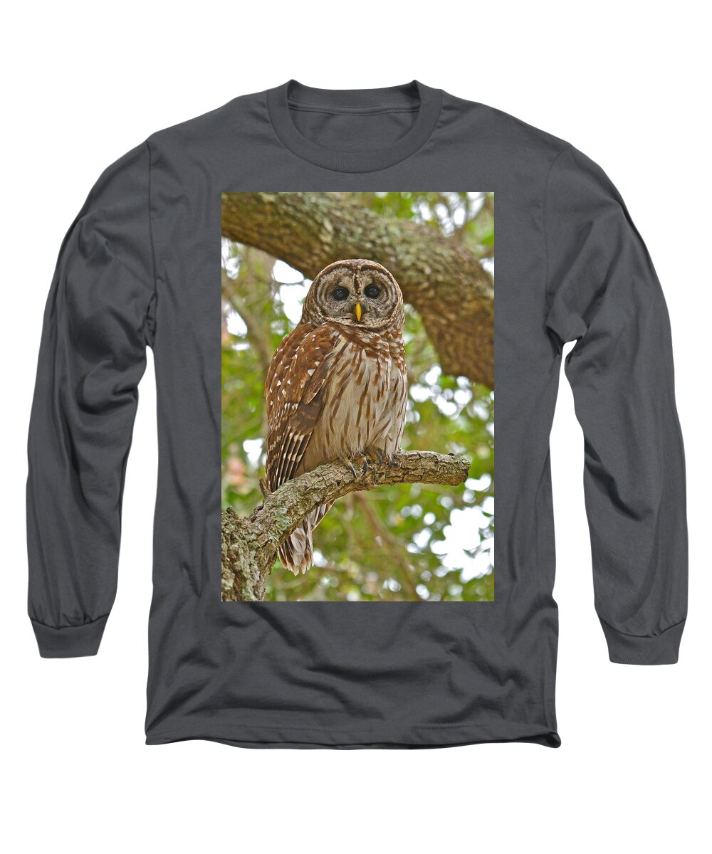 Barred Owl Long Sleeve T-Shirt featuring the photograph A Barred Owl by Don Mercer