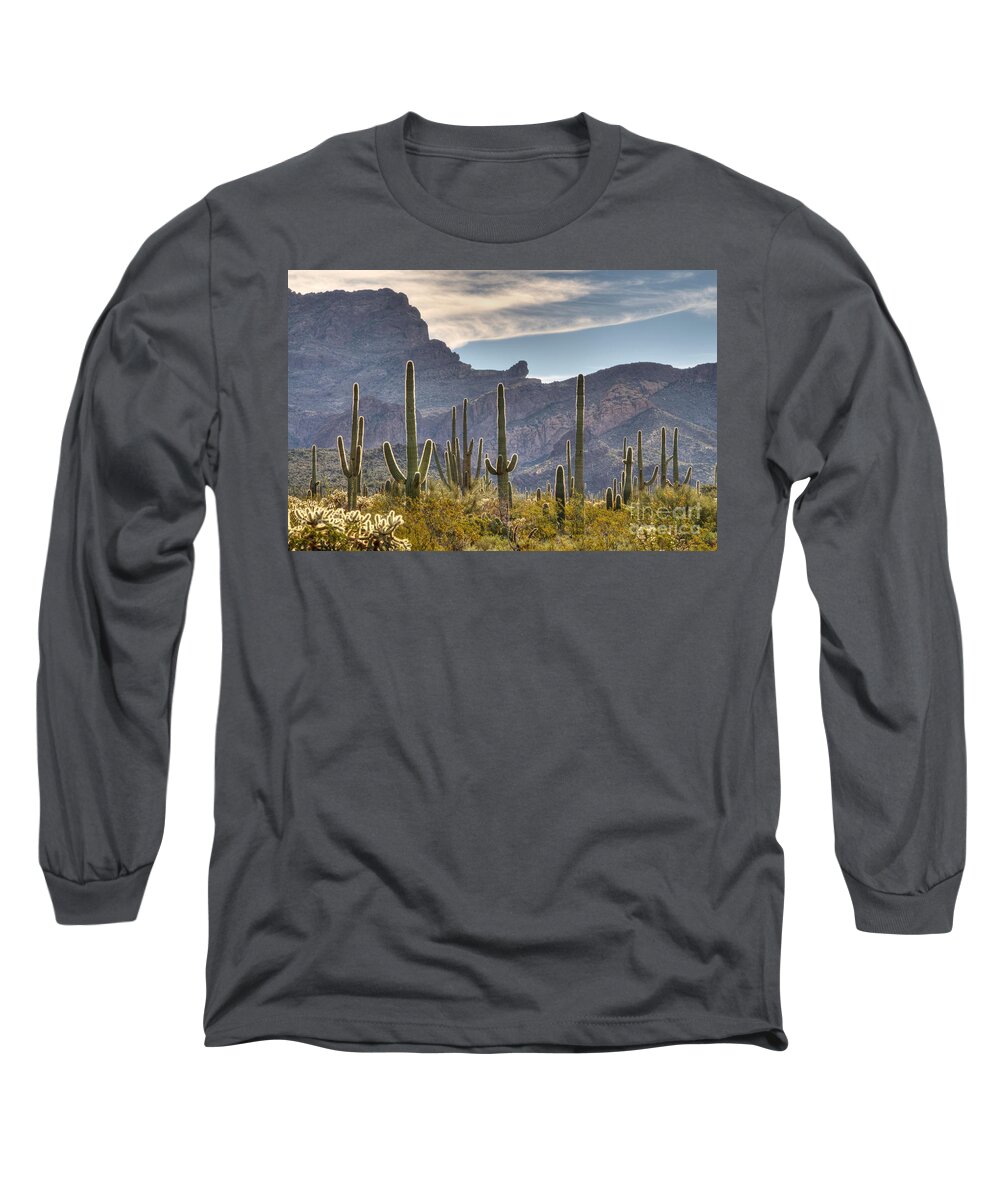 Saguaro Long Sleeve T-Shirt featuring the photograph A Forest of Saguaro Cacti by Vivian Christopher