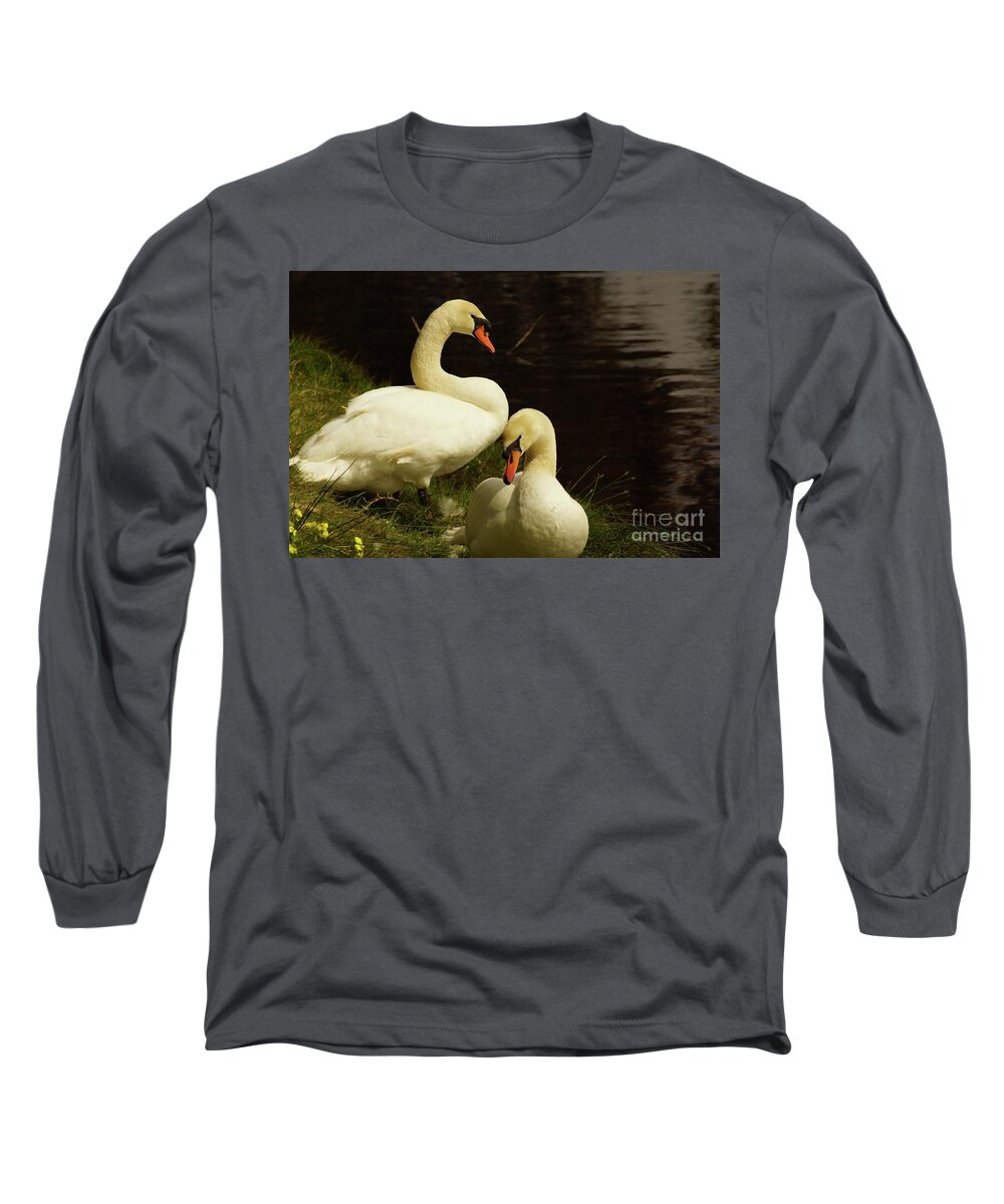 Mute Swan Long Sleeve T-Shirt featuring the photograph A Handsome Pair by Cassandra Buckley