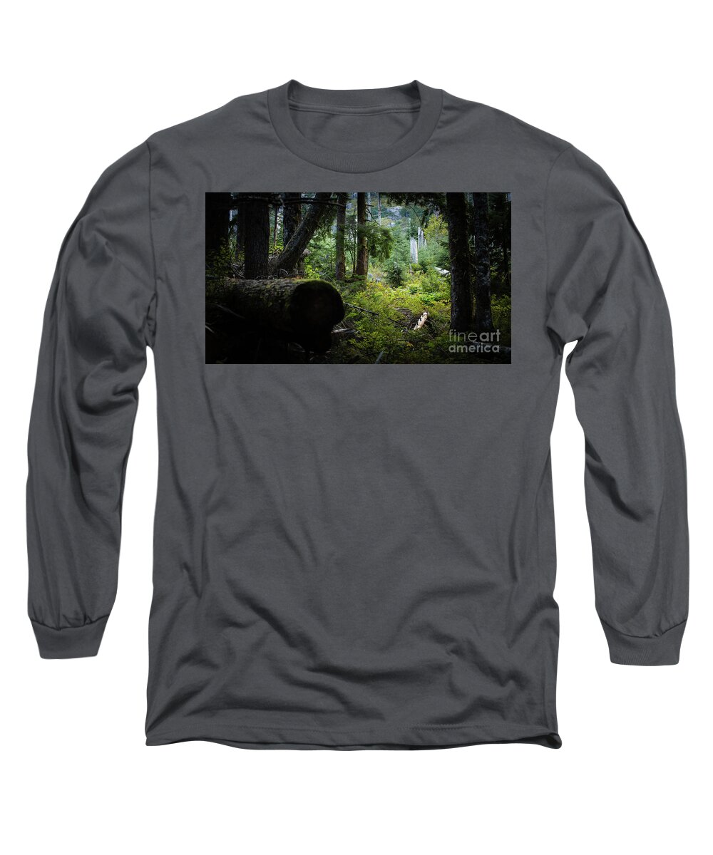 Forest Long Sleeve T-Shirt featuring the photograph A light spot in the forest by Agnes Caruso