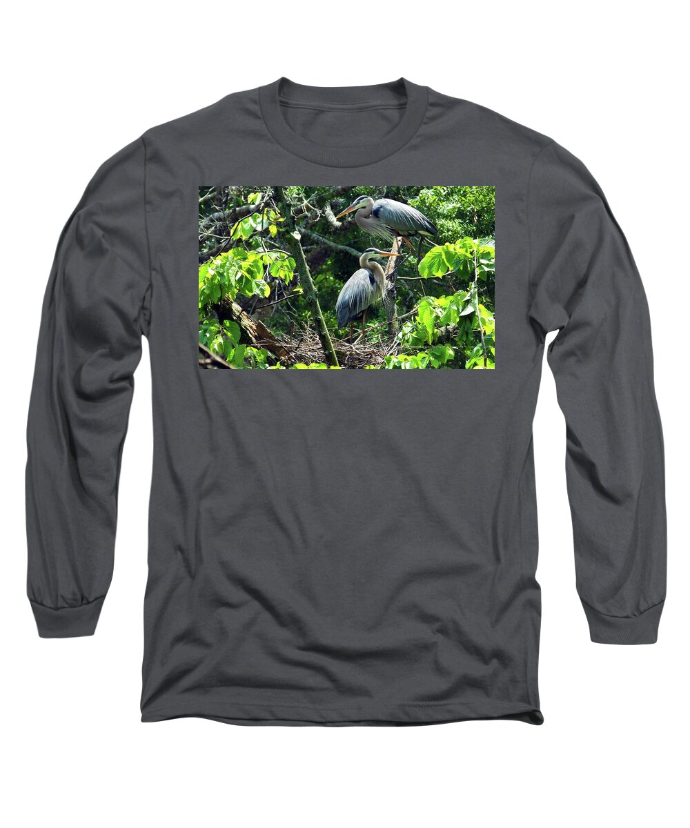 Great Blue Herons Long Sleeve T-Shirt featuring the photograph A Nesting Pair of Great Blue Herons by Judy Wanamaker