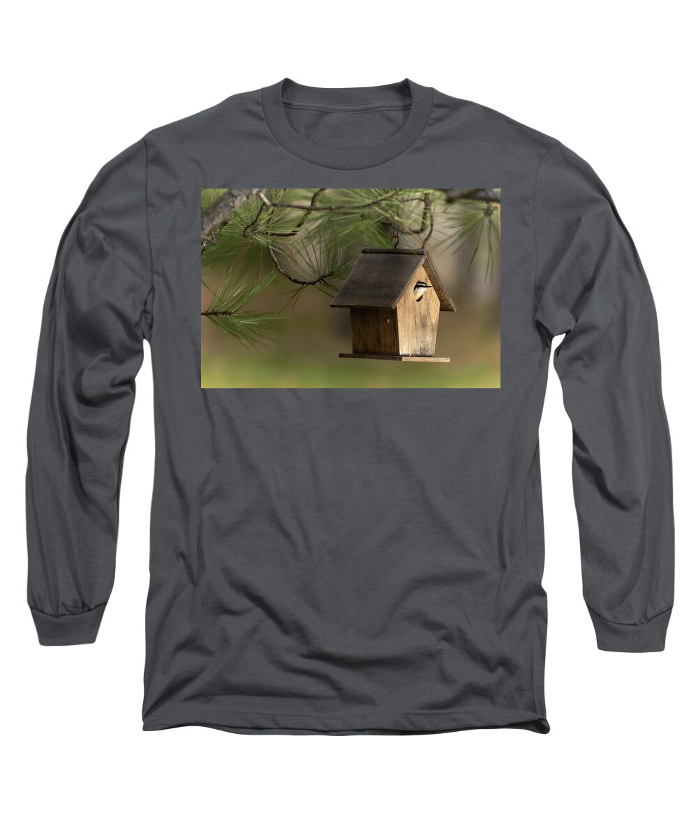 Bird Long Sleeve T-Shirt featuring the photograph A New Occupant by Loni Collins