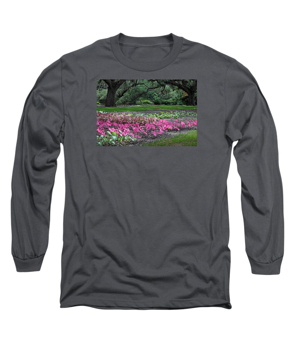 Photograph Long Sleeve T-Shirt featuring the photograph A Place of Refuge by Suzanne Gaff