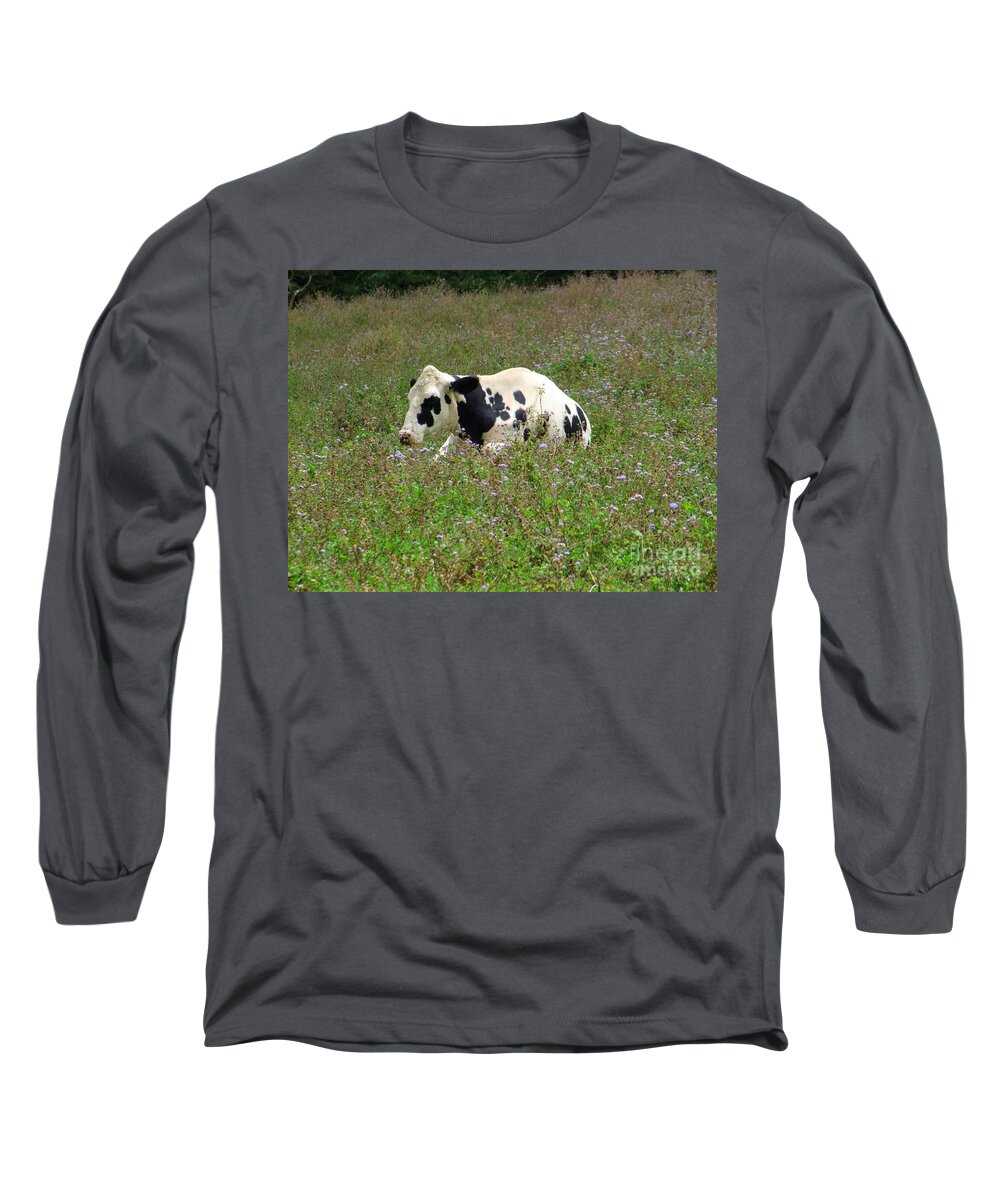 Cow Long Sleeve T-Shirt featuring the photograph A Spot of Rest by Mary Deal