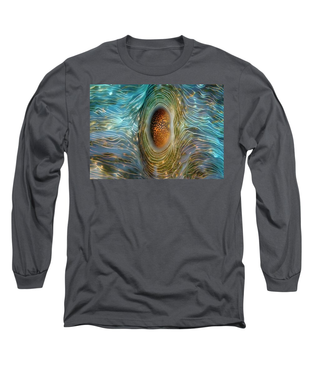 Abstract Long Sleeve T-Shirt featuring the photograph Abstract clam by Artesub