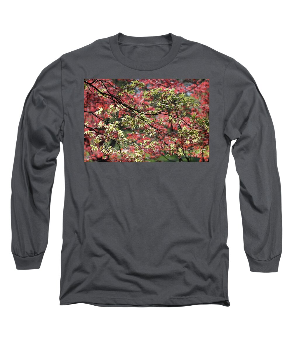 Acer Leaves In Spring Long Sleeve T-Shirt featuring the photograph Acer leaves in Spring by Julia Gavin