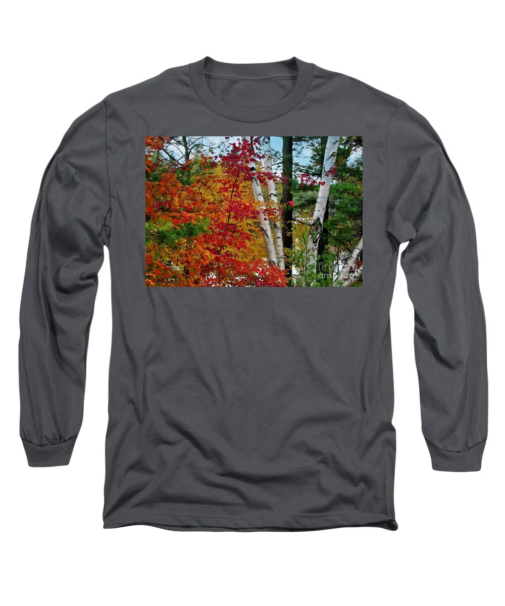 Trees Long Sleeve T-Shirt featuring the photograph Adirondack autum by Sheila Ping
