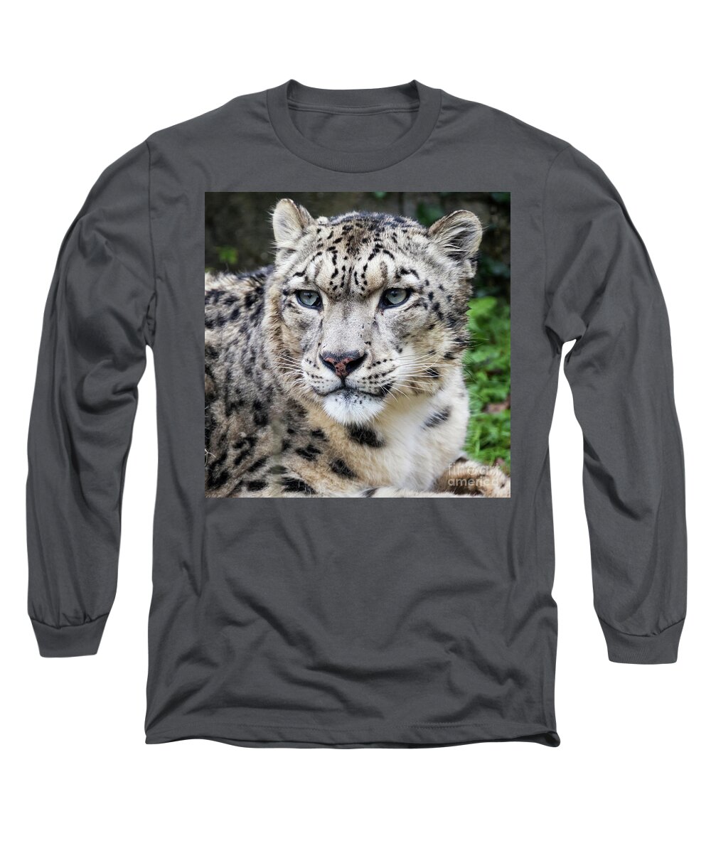 Leopard Long Sleeve T-Shirt featuring the photograph Adult snow leopard portrait by Jane Rix