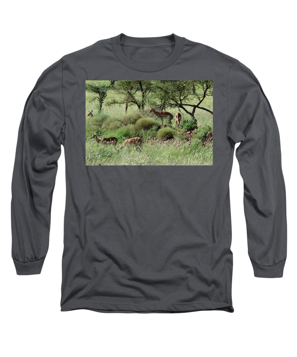  Long Sleeve T-Shirt featuring the photograph African Grasslands by Carolyn Mickulas