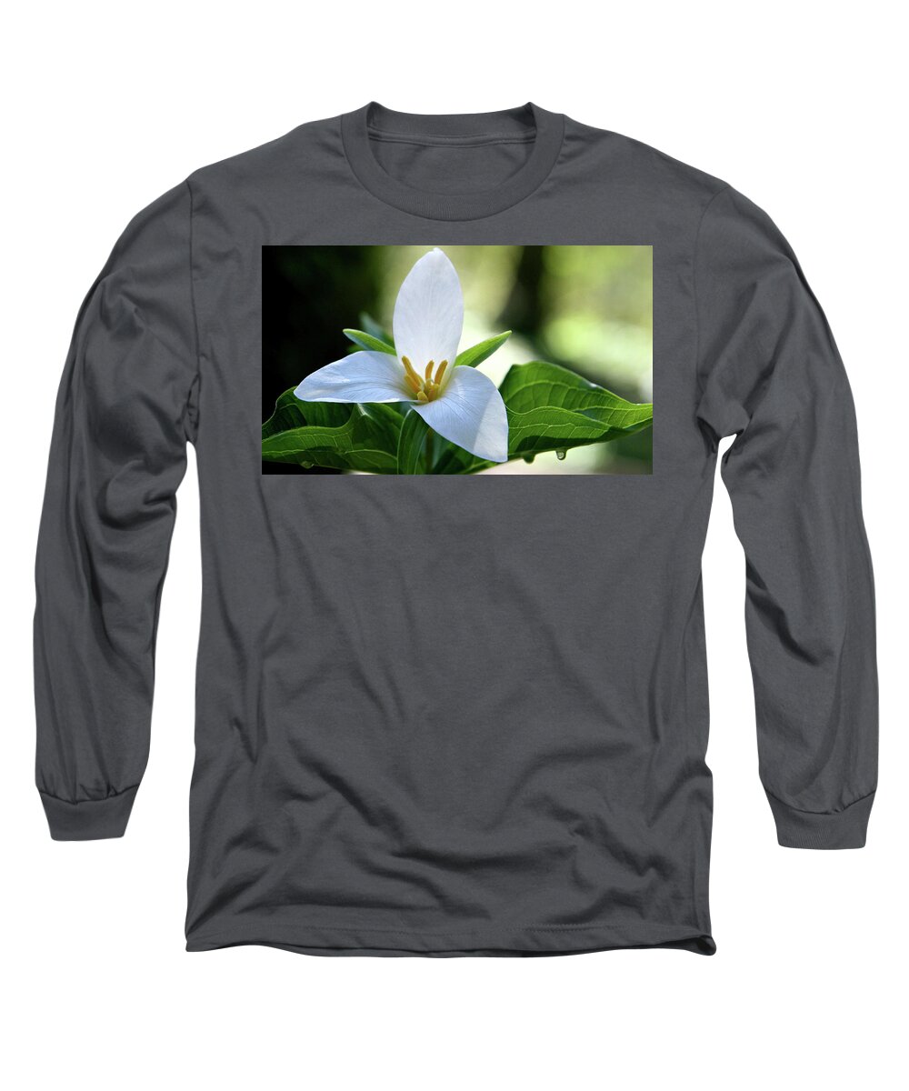 Flower Long Sleeve T-Shirt featuring the photograph After The Rain by Sheila Ping