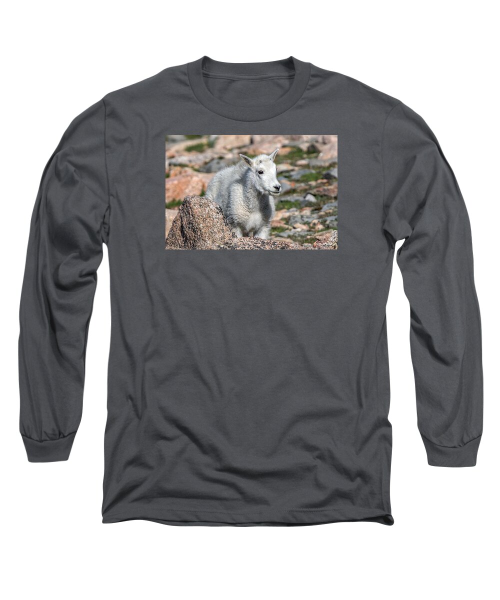 Mountain Goat Long Sleeve T-Shirt featuring the photograph Ahhh Da Baby by Stephen Johnson