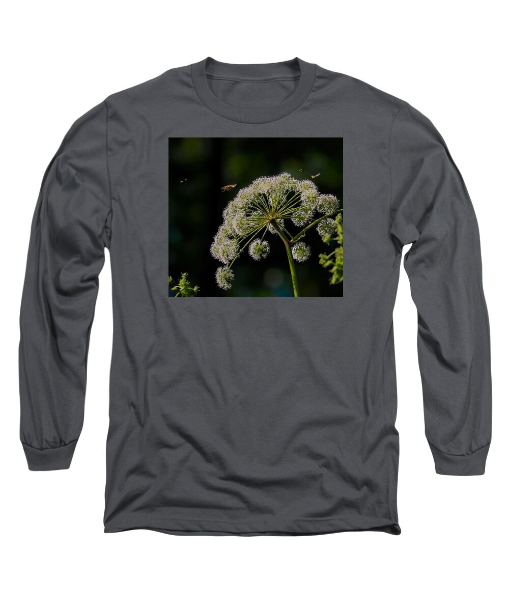 Airportminsect Long Sleeve T-Shirt featuring the photograph Airport by Leif Sohlman