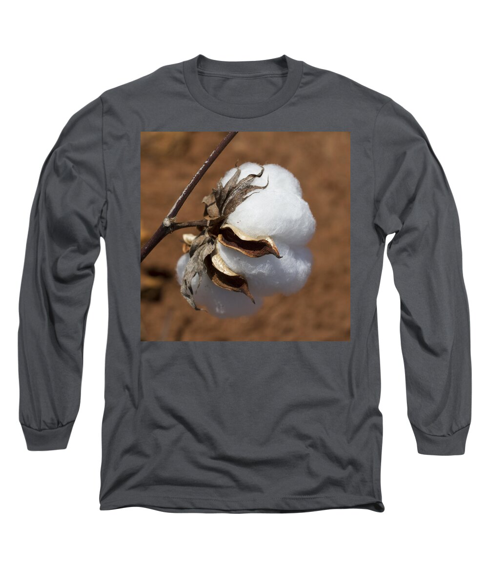 Cotton Long Sleeve T-Shirt featuring the photograph Alabama Gold by Kathy Clark