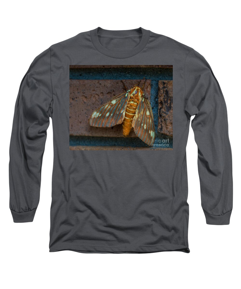 Moth Long Sleeve T-Shirt featuring the photograph Alien Moth by Metaphor Photo