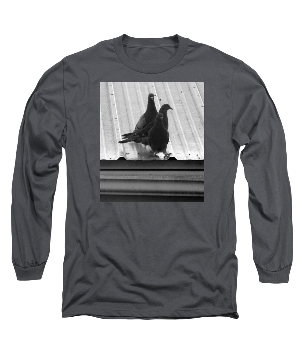 Pigeons Long Sleeve T-Shirt featuring the photograph All In A Row by Wild Thing