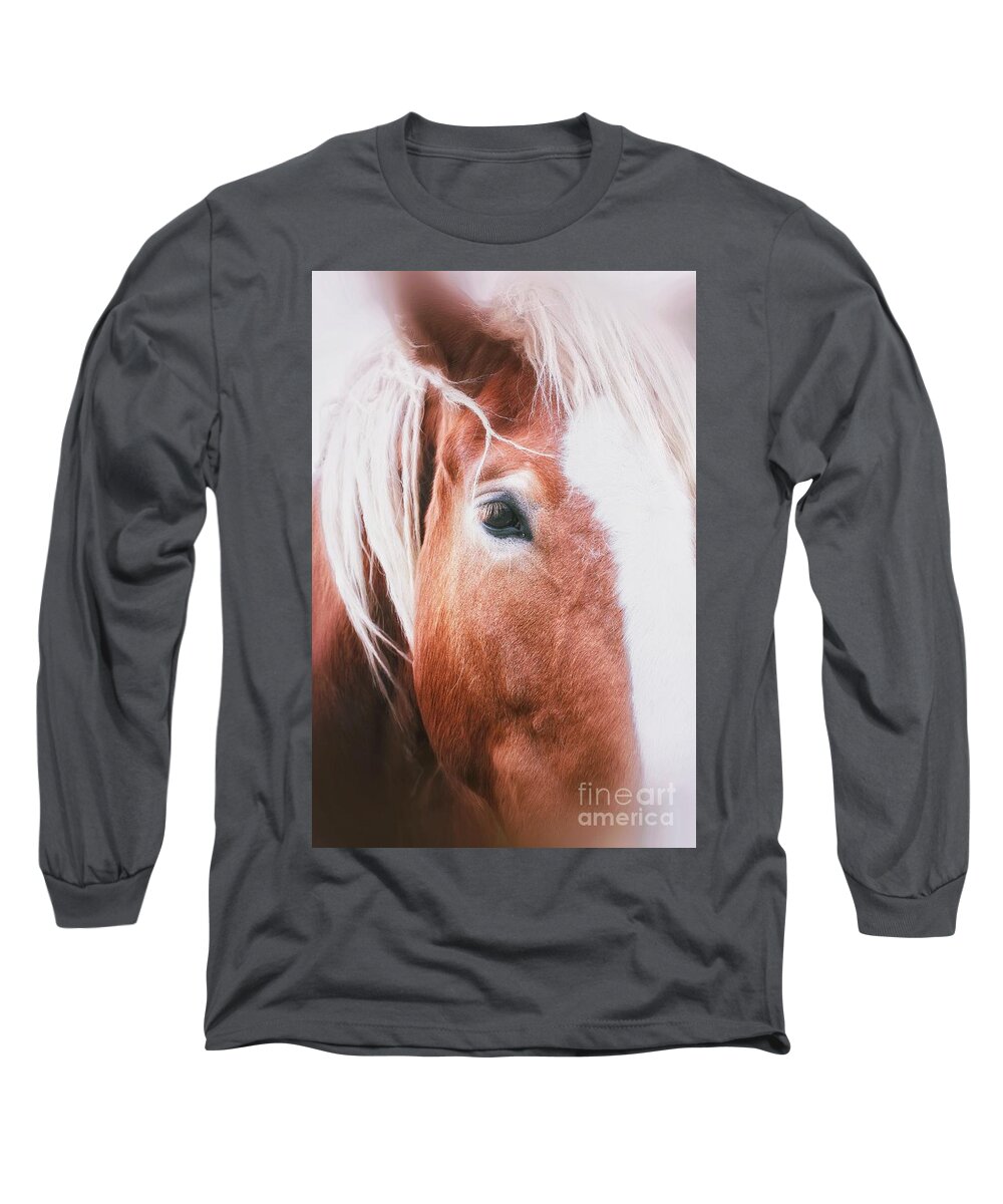 Horse Long Sleeve T-Shirt featuring the photograph Always Dream by Toma Caul
