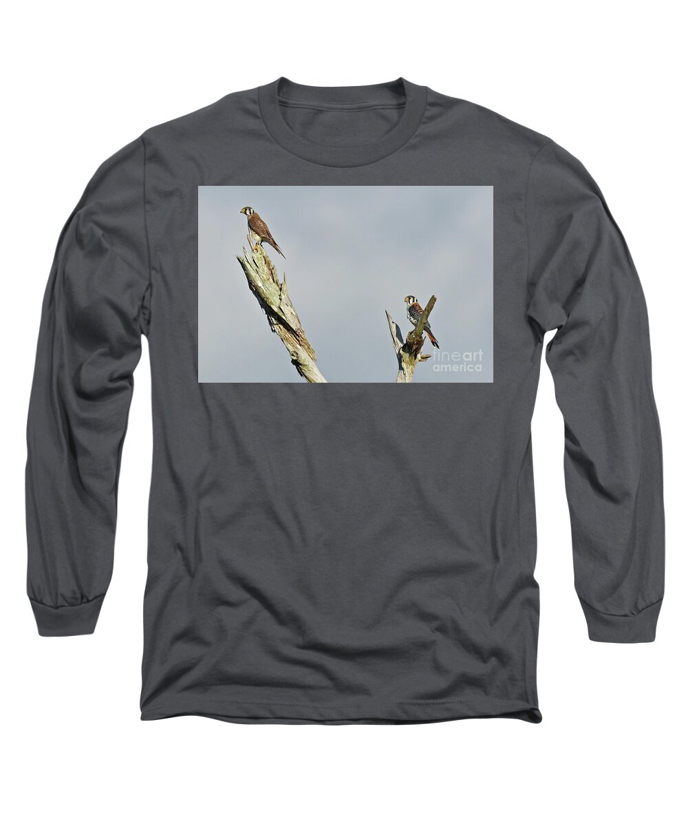  Long Sleeve T-Shirt featuring the photograph American Kestrel by Liz Grindstaff