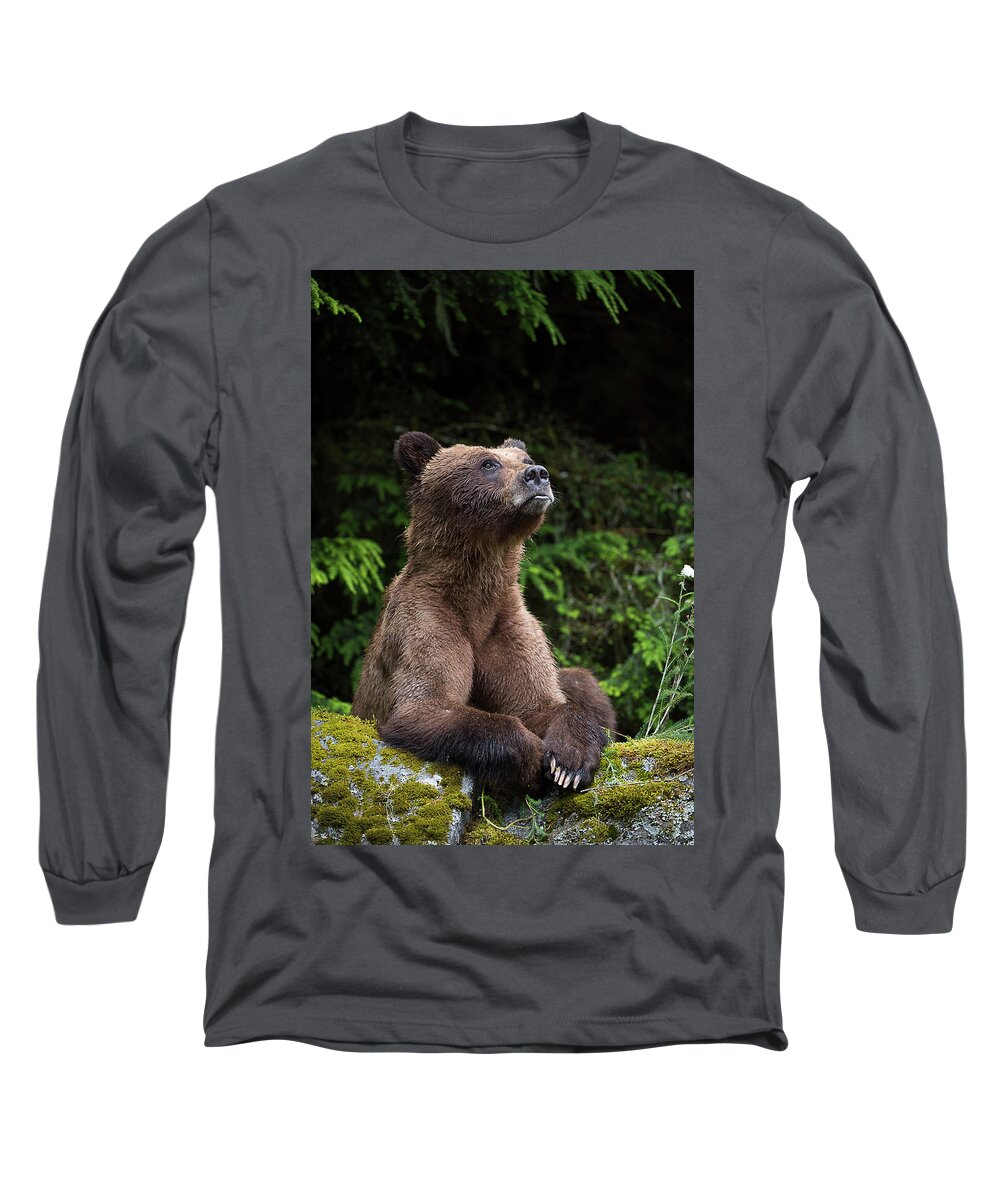 Bears Long Sleeve T-Shirt featuring the photograph An Endearing Portrait of a Grizzly by Bill Cubitt