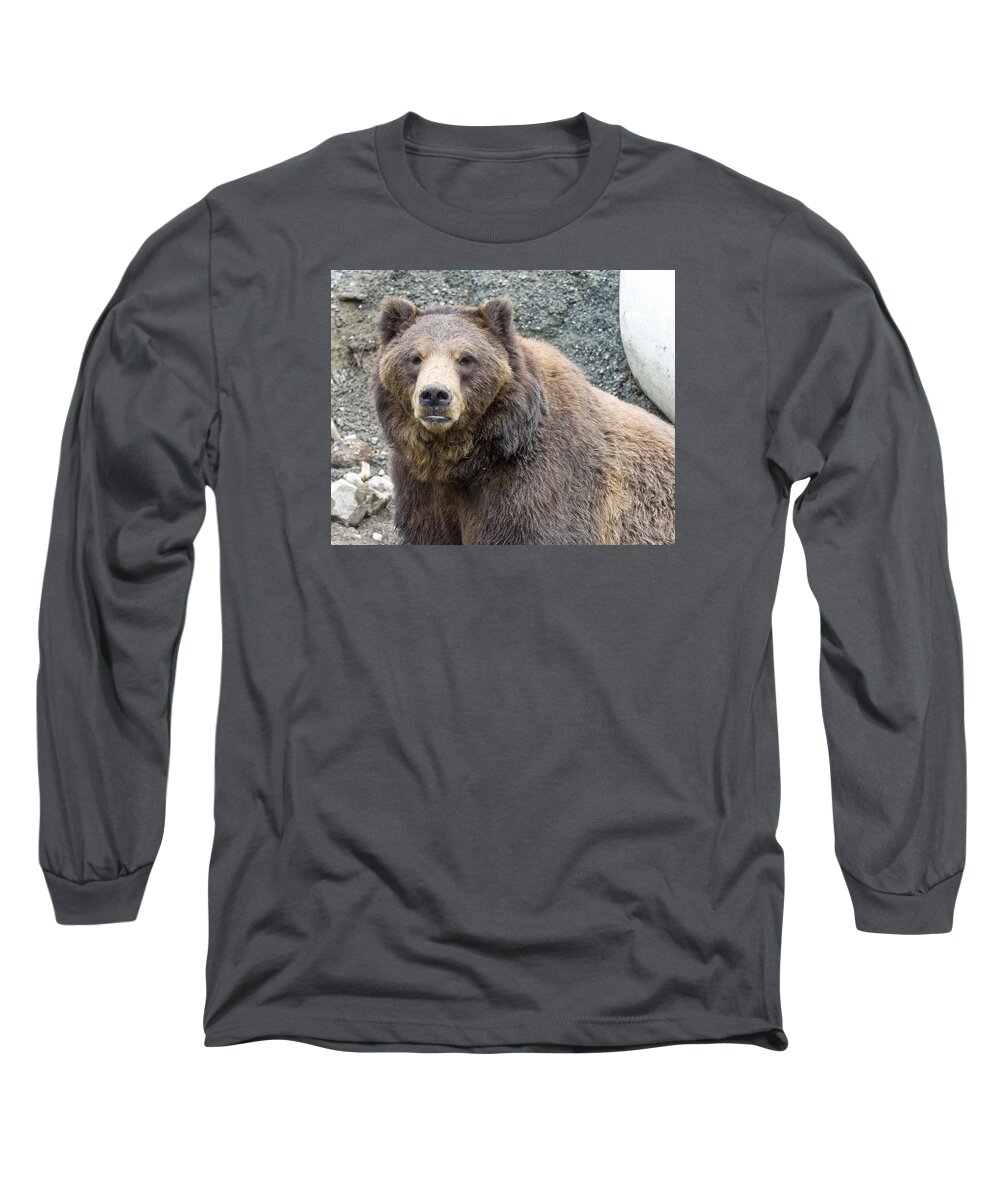 Wildlife. Brown Long Sleeve T-Shirt featuring the photograph An Eye on You by Harold Piskiel