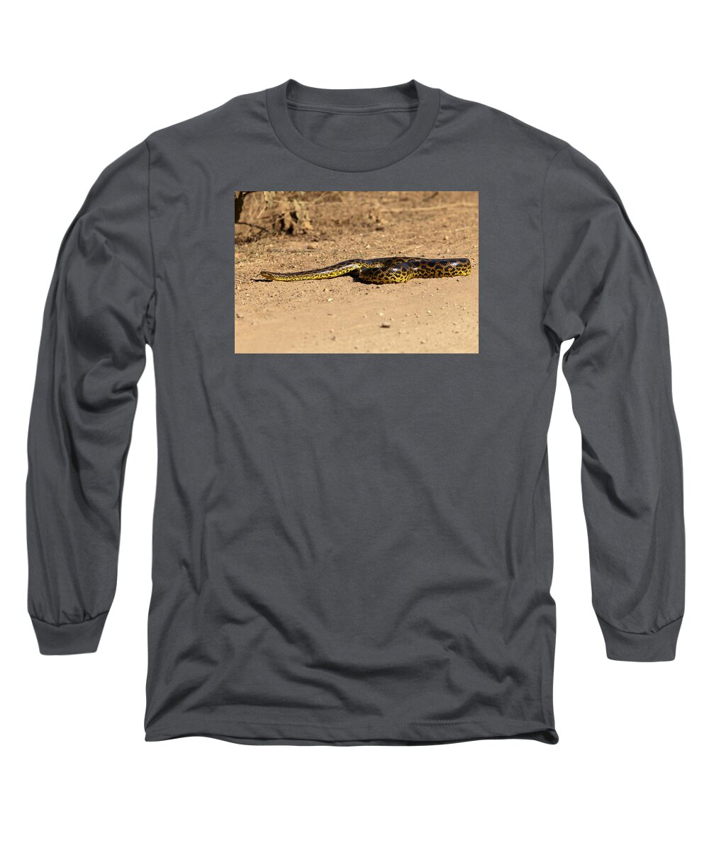 Anaconda Long Sleeve T-Shirt featuring the photograph Anaconda Crossing Transpantaneira by Aivar Mikko