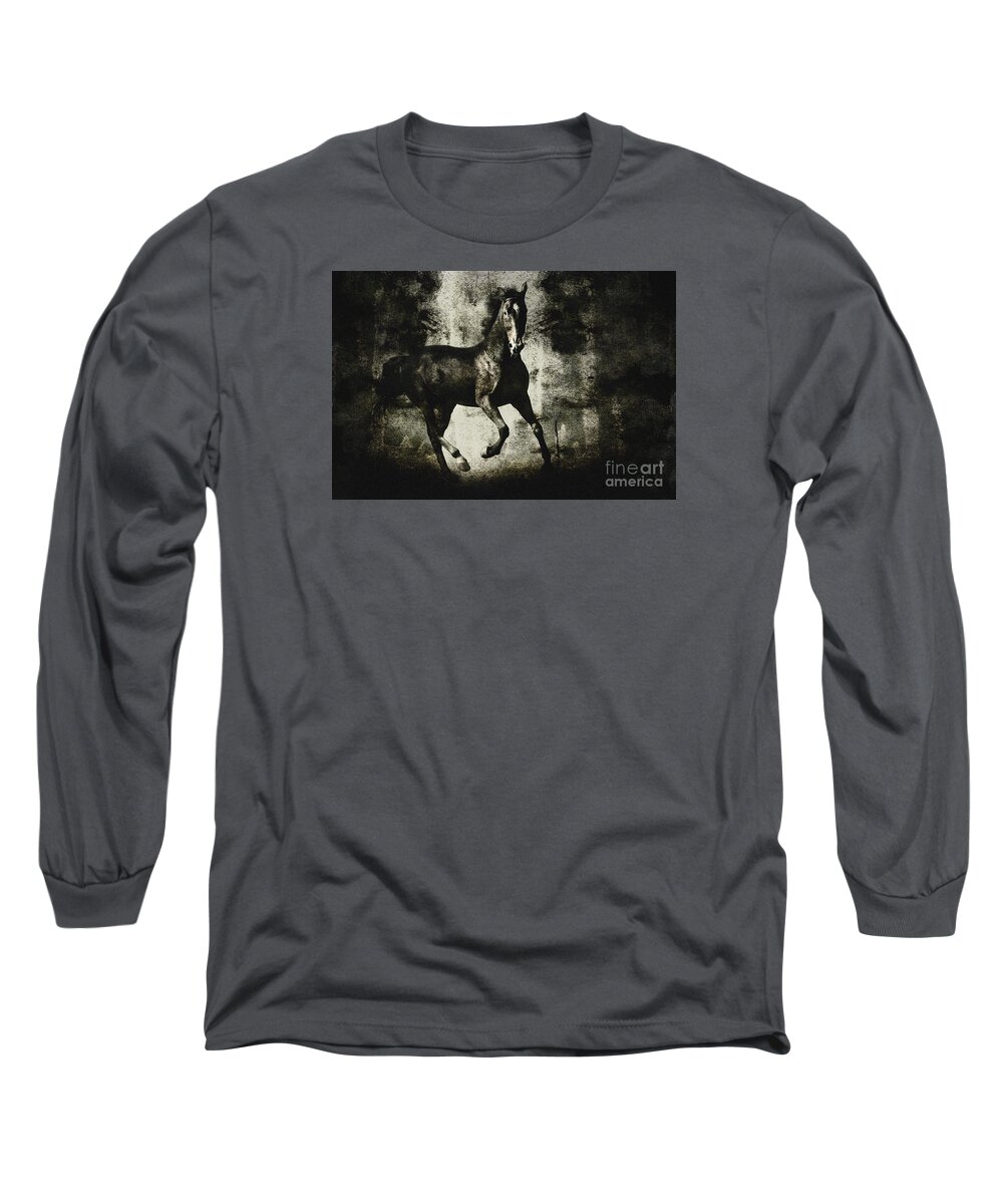  Painting Long Sleeve T-Shirt featuring the drawing Andalusian horse by Dimitar Hristov
