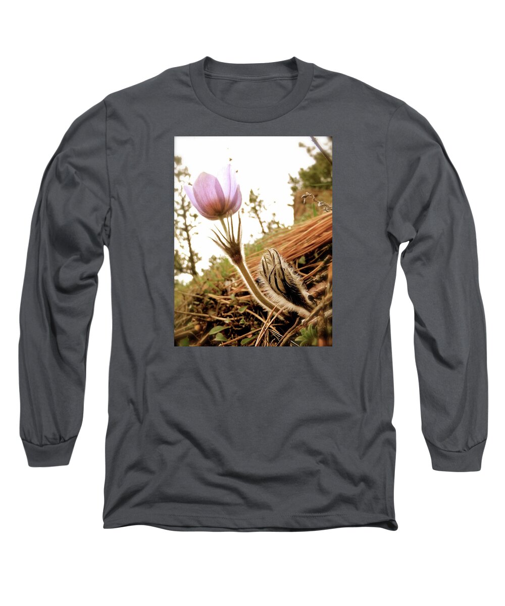  Long Sleeve T-Shirt featuring the photograph Anemone Trail Boulder Colorado 2014 by Leizel Grant