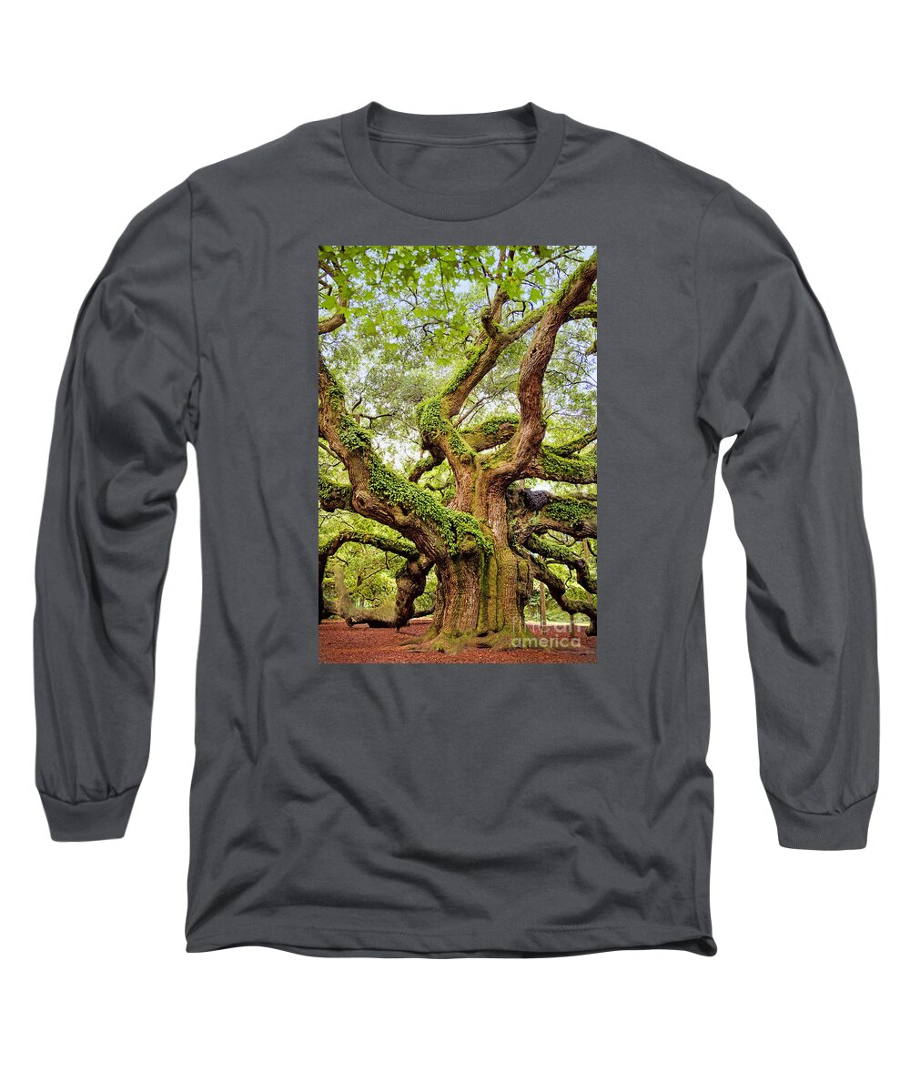 Angel Oak Long Sleeve T-Shirt featuring the photograph Angel Oak Tree by Sharon McConnell