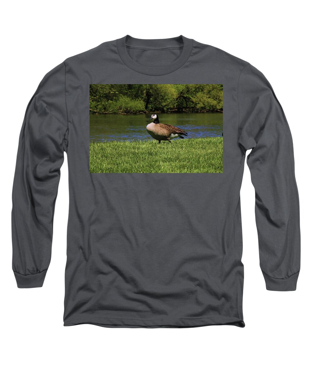 Animals Long Sleeve T-Shirt featuring the photograph Animal 3 by Karl Rose