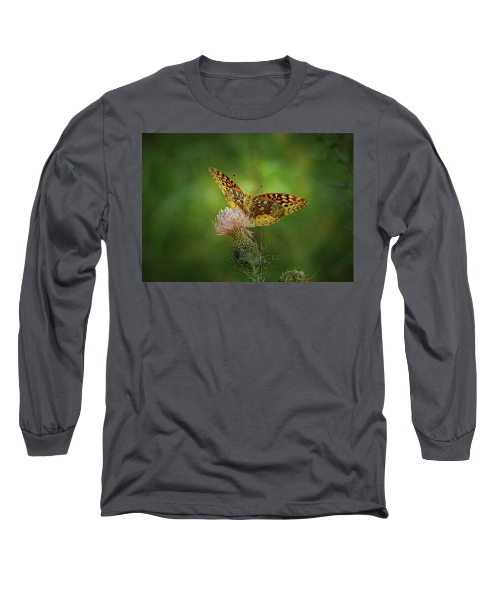Butterfly Long Sleeve T-Shirt featuring the photograph Aphrodite Fritillary Butterfly by Sandy Keeton