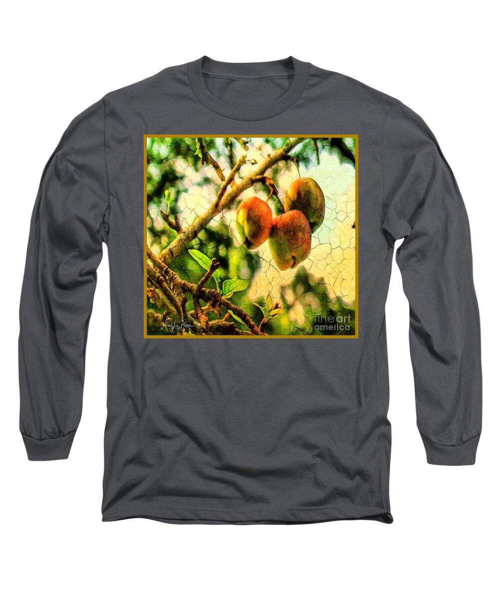 Mix Media Long Sleeve T-Shirt featuring the mixed media Apple Season by MaryLee Parker