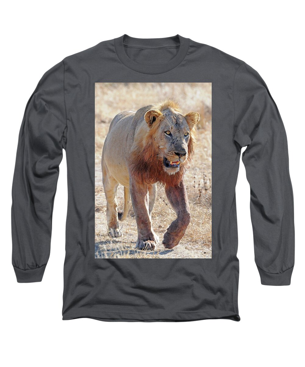 Lion Long Sleeve T-Shirt featuring the photograph Approaching Lion by Ted Keller