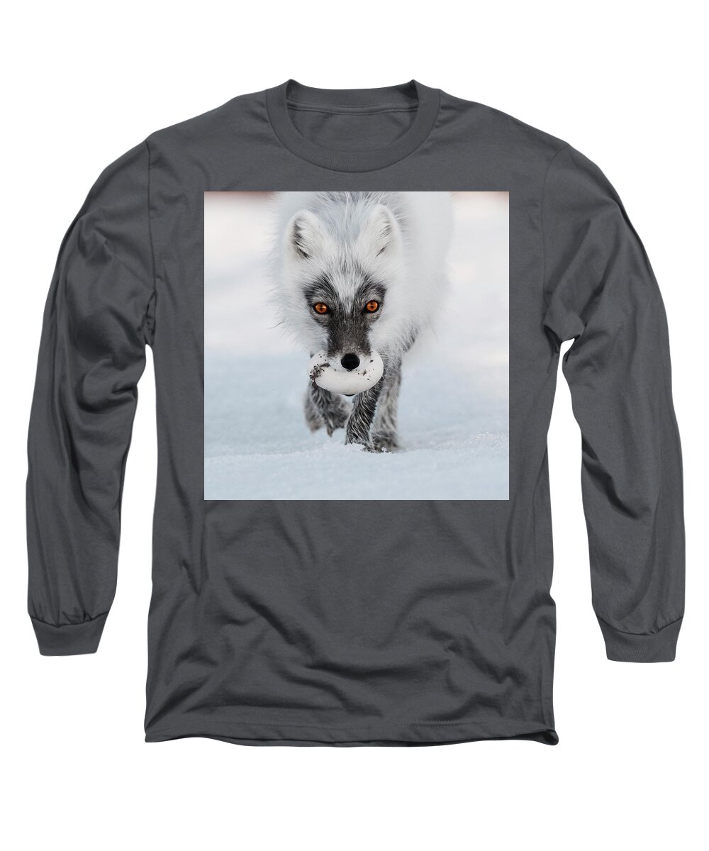 00520033 Long Sleeve T-Shirt featuring the photograph Arctic Fox and Snow Goose Egg by Sergey Gorskov